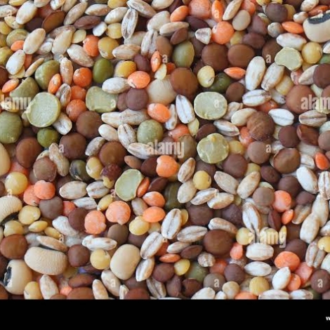 WhatsApp Image 2026-02-27 at 8.07.31 PM