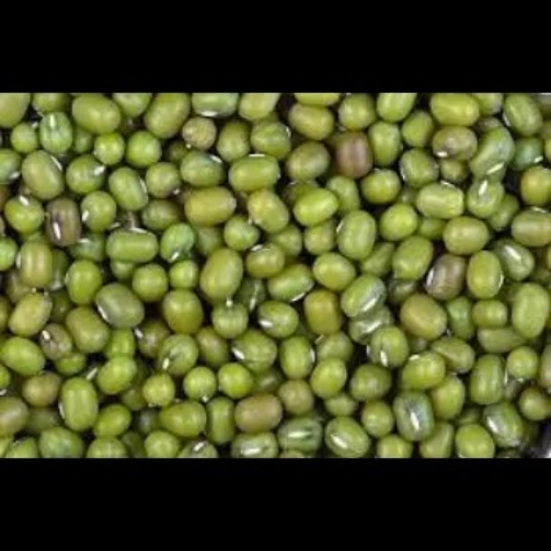 WhatsApp Image 2026-02-27 at 8.09.11 PM